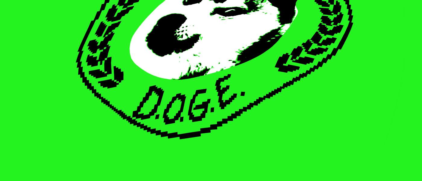 DOGE might be storing every American8217s SSN on an insecure cloud server