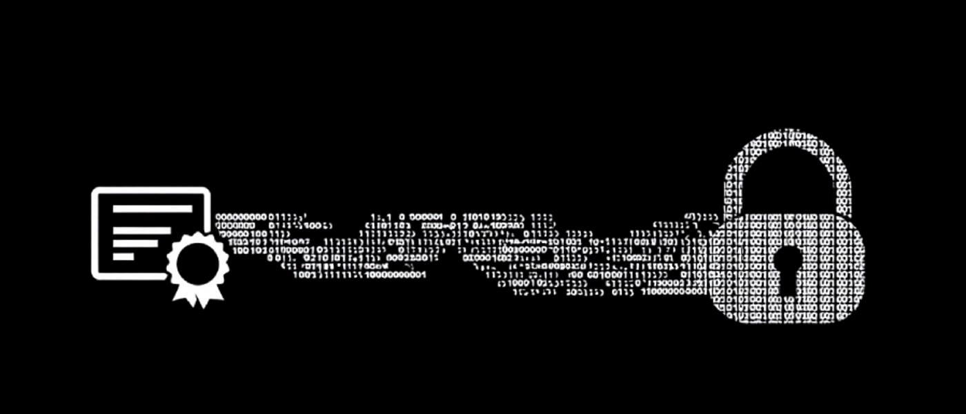 Microsoft Revokes 200 Fraudulent Certificates Used in Rhysida Ransomware Campaign