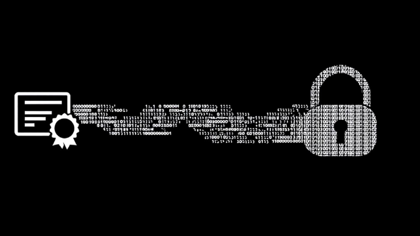 Microsoft Revokes 200 Fraudulent Certificates Used in Rhysida Ransomware Campaign